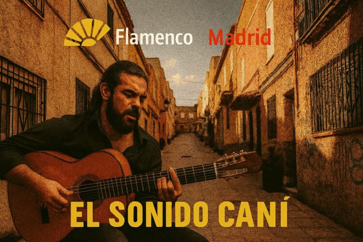Imagen de un Flamenco tocando y cantando en la calle de Caño Roto, estandarte del Sonido Cañí