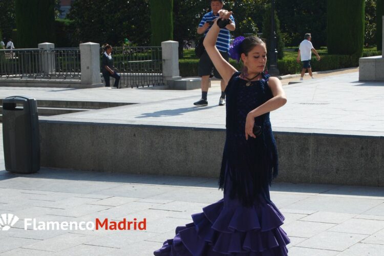 Bailaora bailando flamenco frente al Palacio Real en Madrid